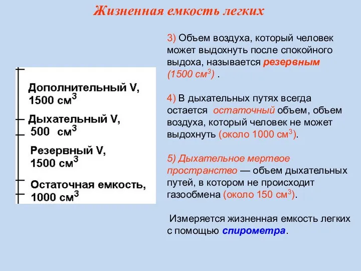 3) Объем воздуха, который человек может выдохнуть после спокойного выдоха,