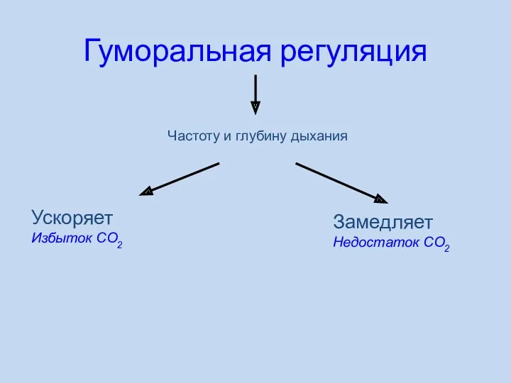 Гуморальная регуляция Частоту и глубину дыхания Ускоряет Избыток СО2 Замедляет Недостаток СО2