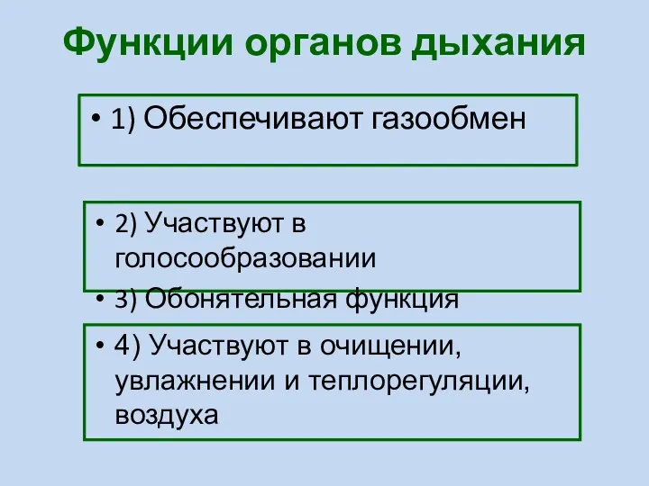 Функции органов дыхания 1) Обеспечивают газообмен 2) Участвуют в голосообразовании