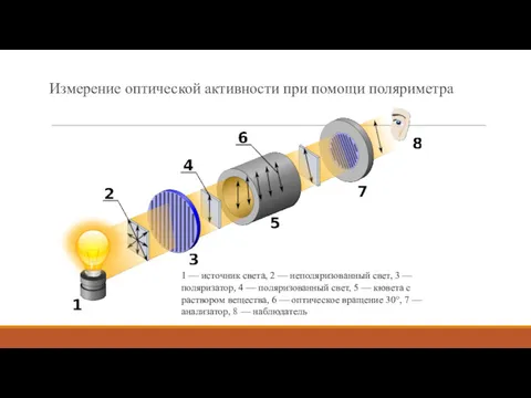 Измерение оптической активности при помощи поляриметра 1 — источник света,