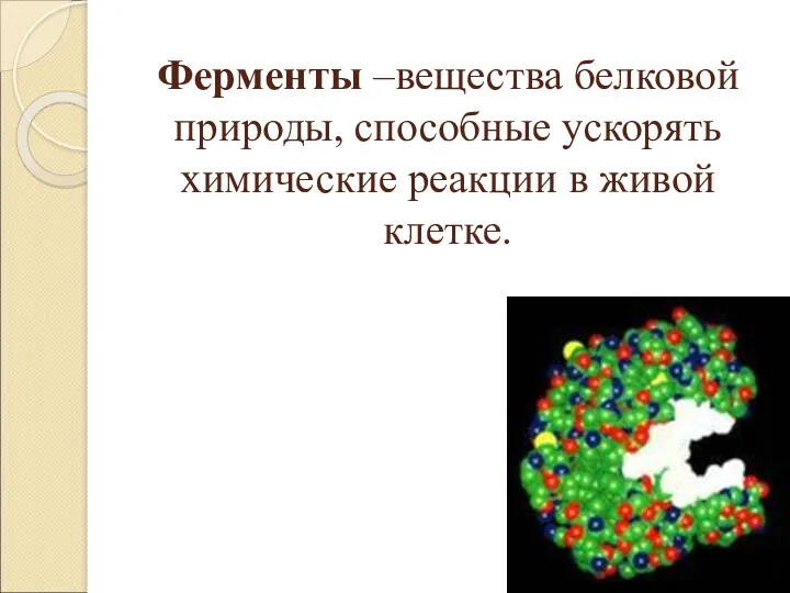 Ферменты –вещества белковой природы, способные ускорять химические реакции в живой клетке.