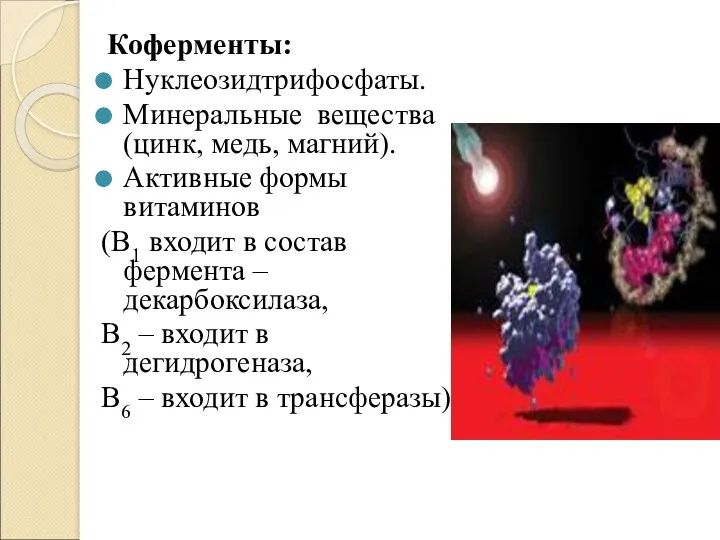 Коферменты: Нуклеозидтрифосфаты. Минеральные вещества (цинк, медь, магний). Активные формы витаминов