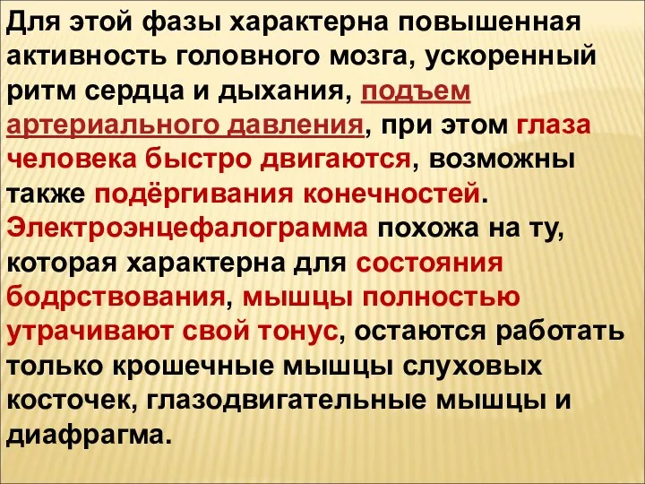 Для этой фазы характерна повышенная активность головного мозга, ускоренный ритм