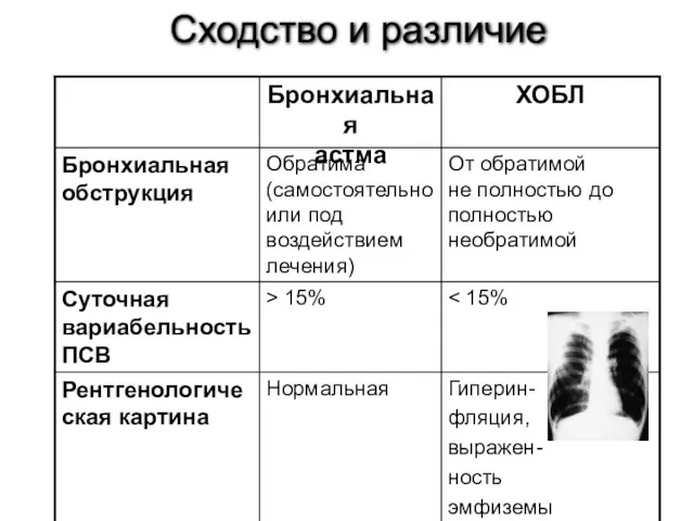 Сходство и различие