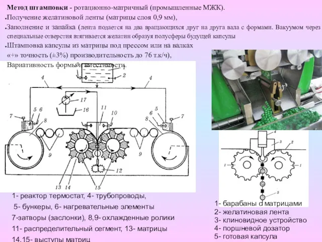 Метод штамповки - ротационно-матричный (промышленные МЖК). Получение желатиновой ленты (матрицы