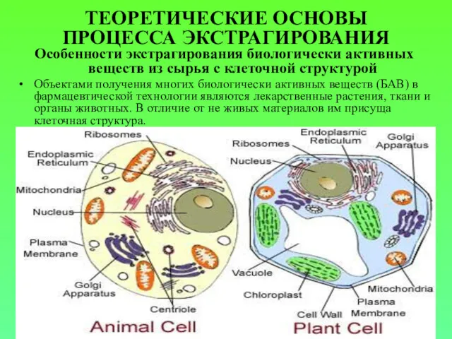 ТЕОРЕТИЧЕСКИЕ ОСНОВЫ ПРОЦЕССА ЭКСТРАГИРОВАНИЯ Особенности экстрагирования биологически активных веществ из