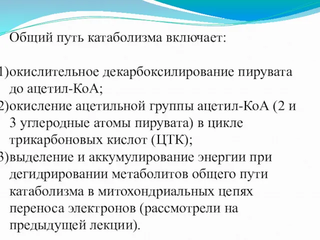 Общий путь катаболизма включает: окислительное декарбоксилирование пирувата до ацетил-КоА; окисление