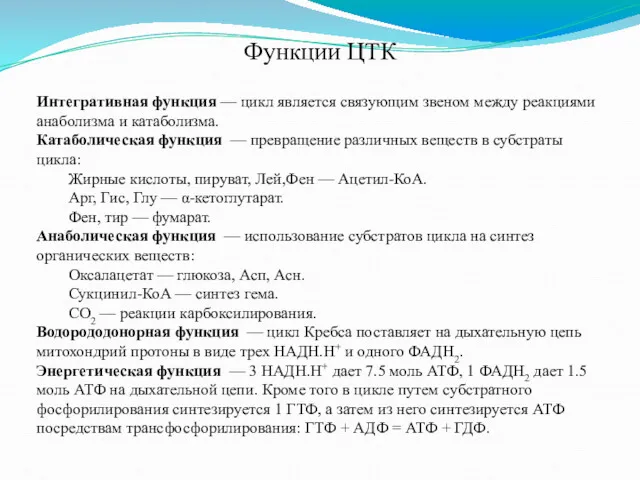 Интегративная функция — цикл является связующим звеном между реакциями анаболизма