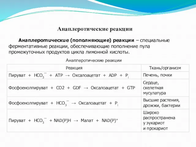 Анаплеротические реакции Анаплероmuческuе (пополняющие) реакции – специальные ферментативные реакции, обеспечивающие