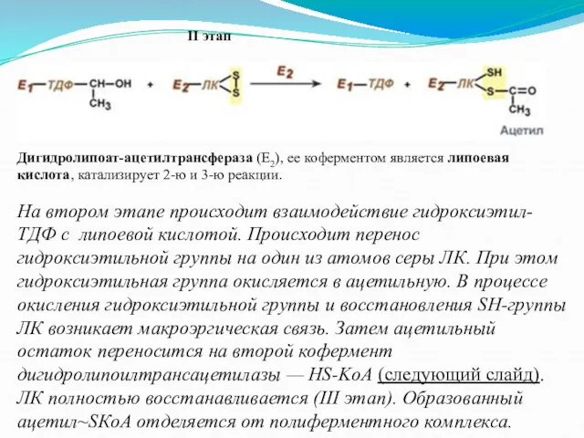 II этап На втором этапе происходит взаимодействие гидроксиэтил-ТДФ с липоевой