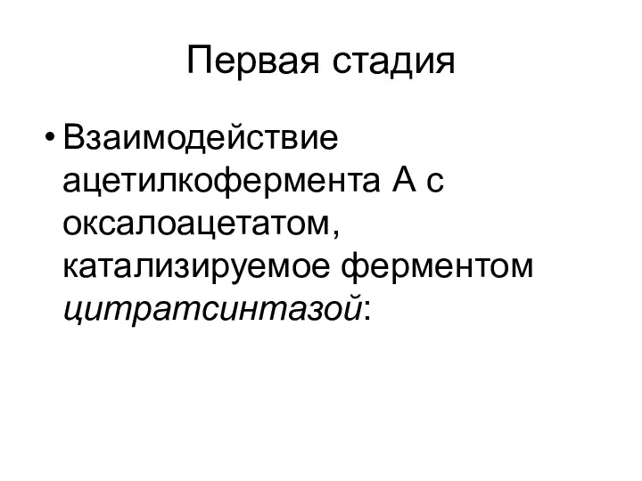 Первая стадия Взаимодействие ацетилкофермента А с оксалоацетатом, катализируемое ферментом цитратсинтазой: