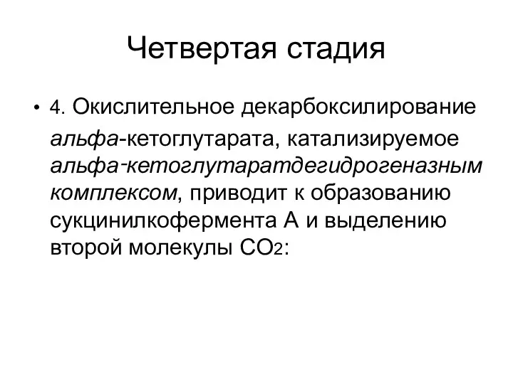 Четвертая стадия 4. Окислительное декарбоксилирование aльфа-кетоглутарата, катализируемое aльфа‑кетоглутаратдегидрогеназным комплексом, приводит