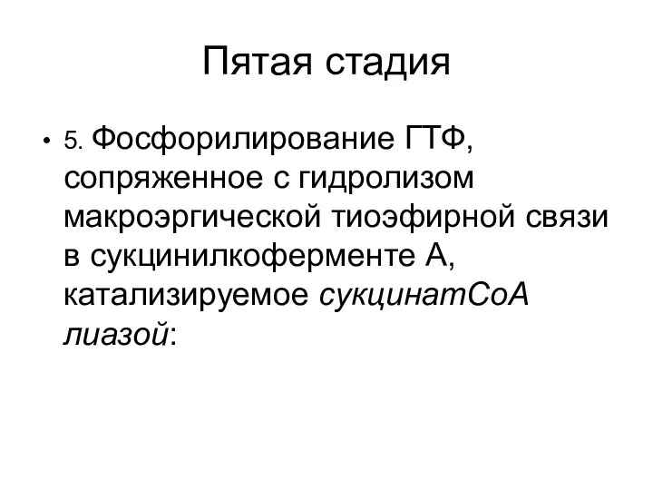 Пятая стадия 5. Фосфорилирование ГТФ, сопряженное с гидролизом макроэргической тиоэфирной