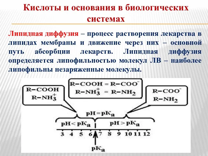 Кислоты и основания в биологических системах Липидная диффузия – процесс