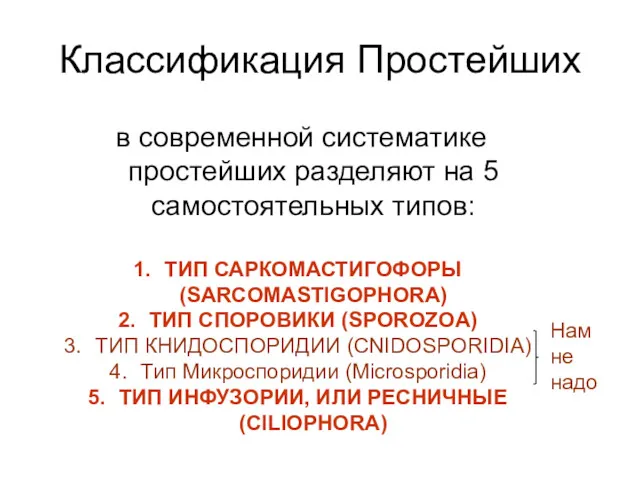 Классификация Простейших в современной систематике простейших разделяют на 5 самостоятельных