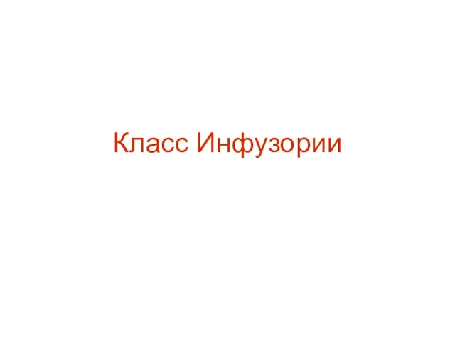 Класс Инфузории