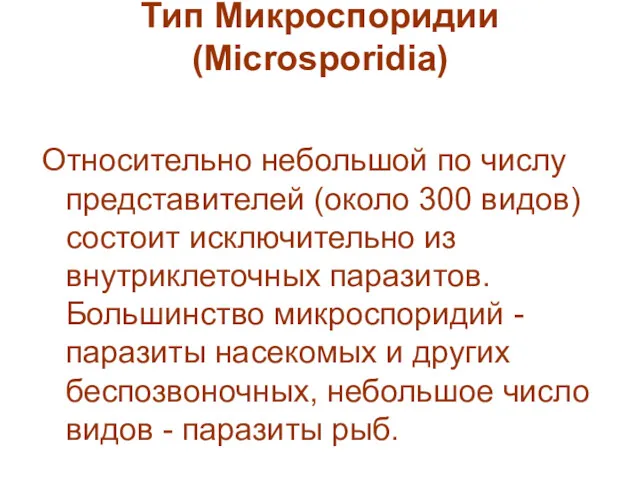 Тип Микроспоридии (Microsporidia)