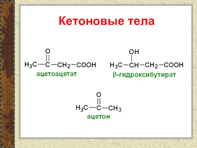 Кетоновые тела