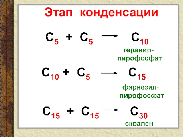 Этап конденсации