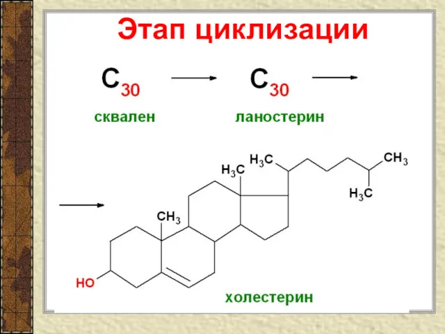 Этап циклизации