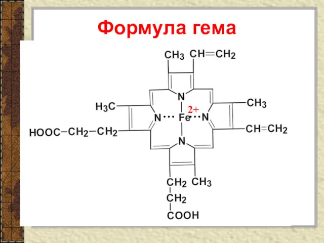 Формула гема 2+ … …