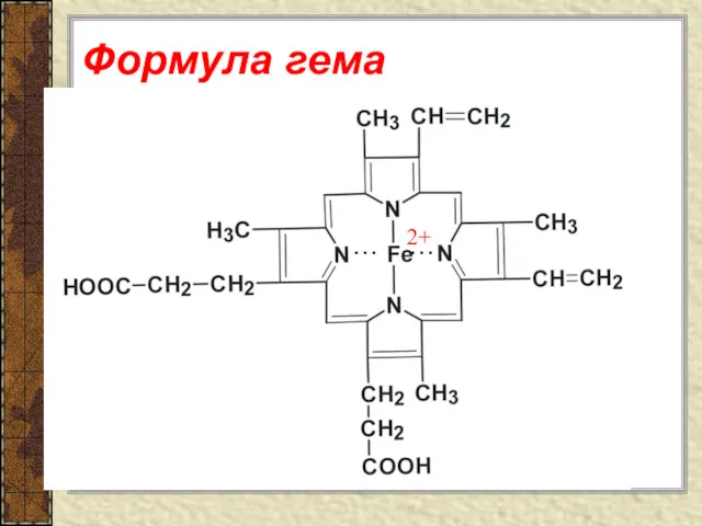 Формула гема 2+ 2+ … …