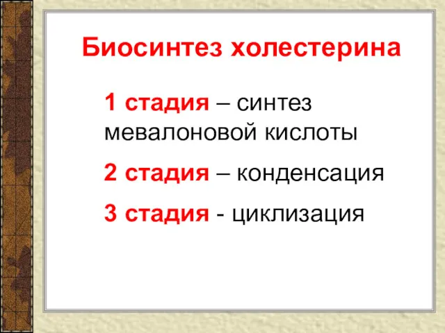 Биосинтез холестерина 1 стадия – синтез мевалоновой кислоты 2 стадия – конденсация 3 стадия - циклизация