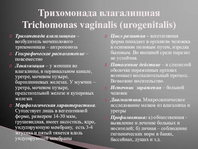 Трихомонада влагалищная – возбудитель мочеполового трихомониаза – антропоноза Географическое расположение