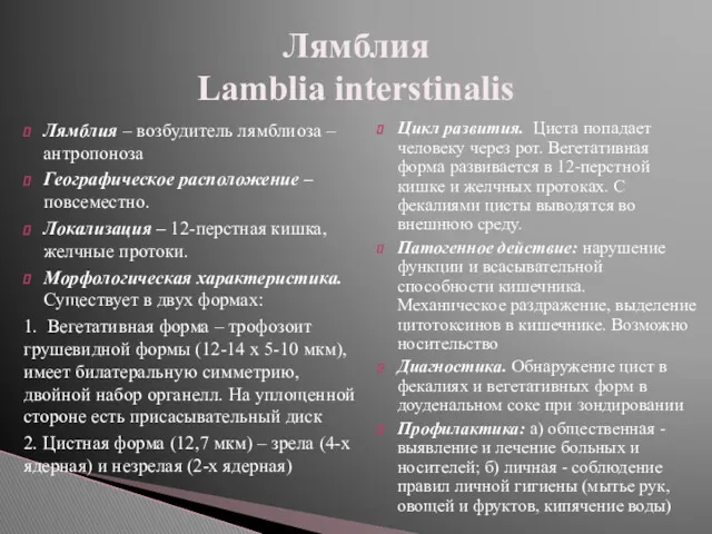 Лямблия – возбудитель лямблиоза – антропоноза Географическое расположение – повсеместно.