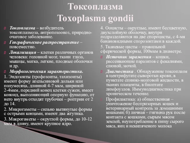 Токсоплазма – возбудитель токсоплазмоза, антропозооноз, природно-очаговое заболевание. Географическое распространение –