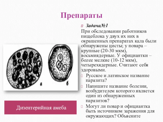 Препараты Дизентерийная амеба Задача№1 При обследовании работников пищеблока у двух