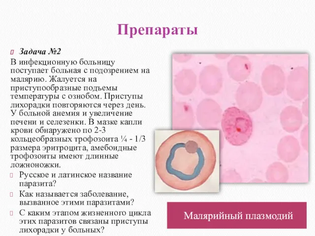 Препараты Малярийный плазмодий Задача №2 В инфекционную больницу поступает больная