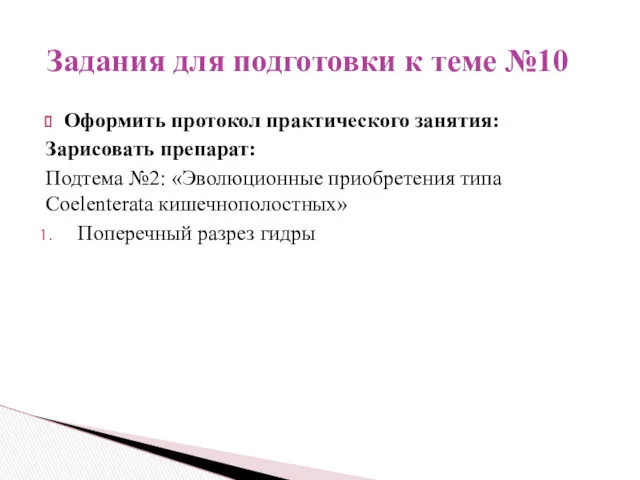 Оформить протокол практического занятия: Зарисовать препарат: Подтема №2: «Эволюционные приобретения