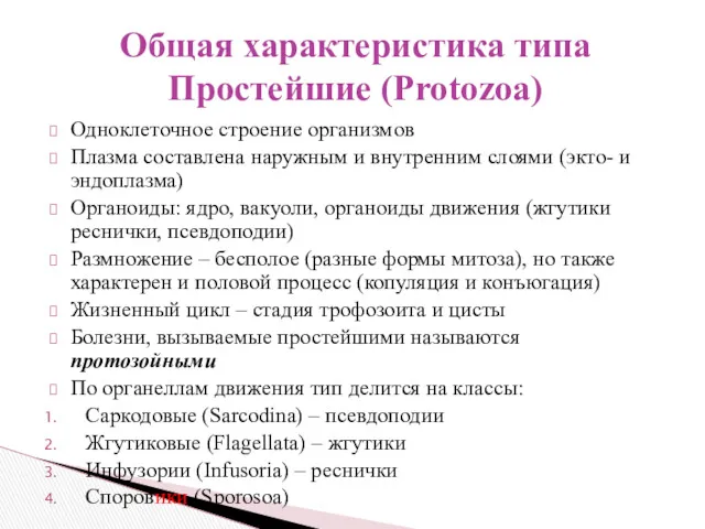 Одноклеточное строение организмов Плазма составлена наружным и внутренним слоями (экто-