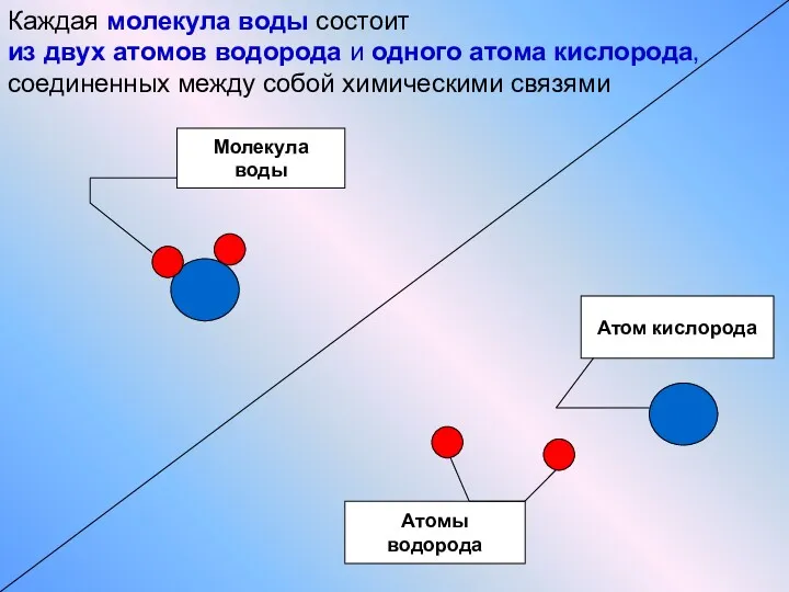 Атом кислорода Атомы водорода Молекула воды Каждая молекула воды состоит