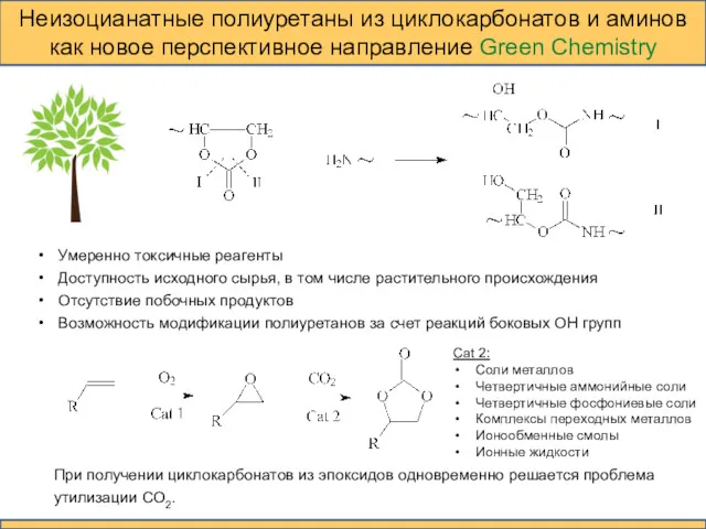 Неизоцианатные полиуретаны из циклокарбонатов и аминов как новое перспективное направление Green Chemistry Умеренно