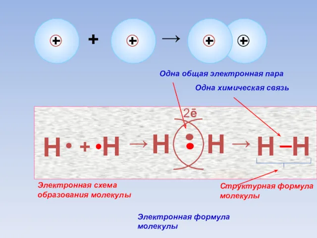 Н + Н → Н Н 2ē Одна общая электронная