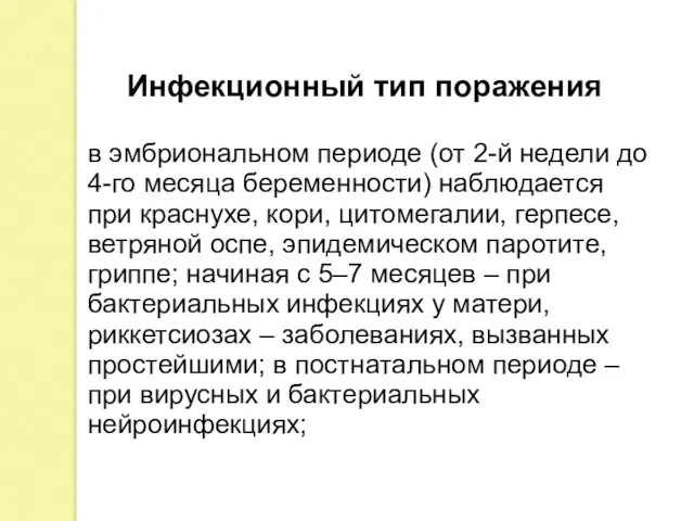 в эмбриональном периоде (от 2-й недели до 4-го месяца беременности)