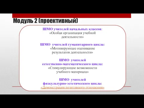 ШМО учителей начальных классов: «Особая организация учебной деятельности» ШМО учителей