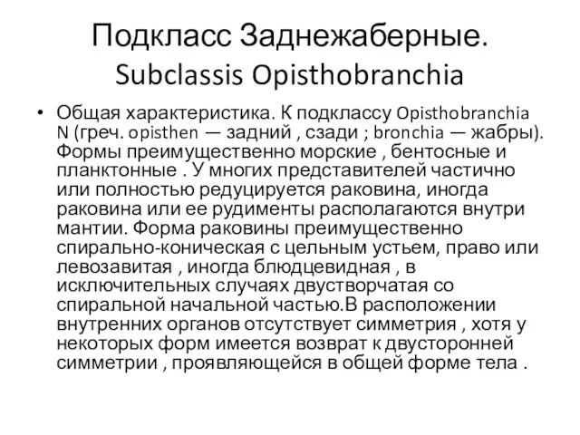 Подкласс Заднежаберные. Subclassis Opisthobranchia Общая характеристика. К подклассу Opisthobranchia N (греч. opisthen —