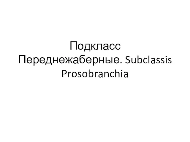 Подкласс Переднежаберные. Subclassis Prosobranchia