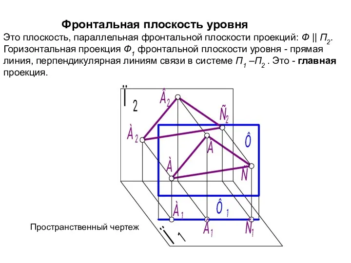 Фронтальная плоскость уровня Это плоскость, параллельная фронтальной плоскости проекций: Ф || П2. Горизонтальная