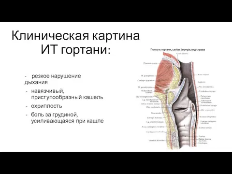 Клиническая картина ИТ гортани: - резкое нарушение дыхания навязчивый, приступообразный