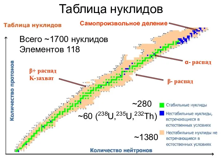 Таблица нуклидов ~280 ~60 (238U,235U,232Th) ~1380 Всего ~1700 нуклидов Элементов