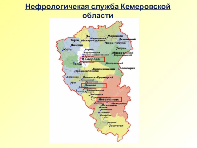 Нефрологичекая служба Кемеровской области