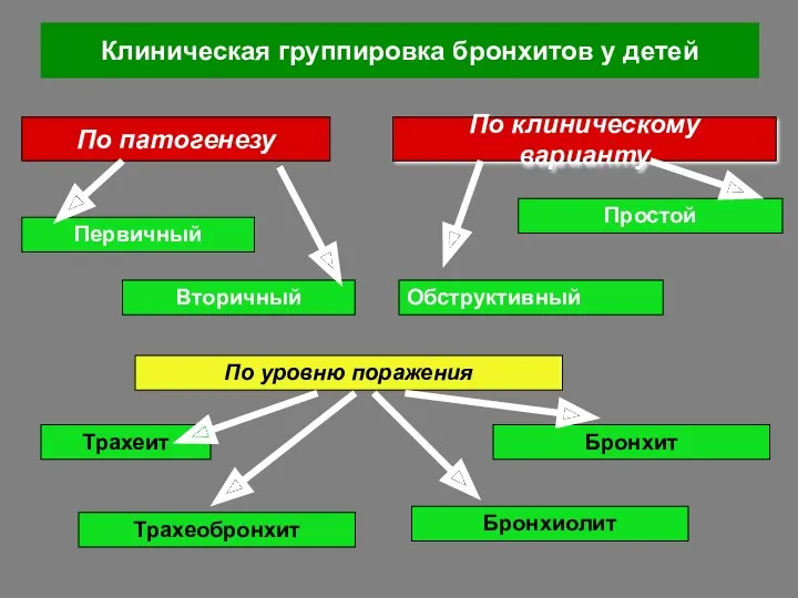 Клиническая группировка бронхитов у детей По патогенезу Первичный Вторичный По