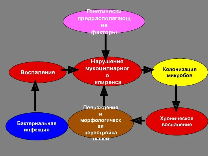 Генетически предрасполагающие факторы Колонизация микробов Бактериальная инфекция Повреждение и морфологическая