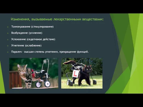 Изменения, вызываемые лекарственными веществами: Тонизирование (стимулирование) Возбуждение (усиление) Успокоение (седативное