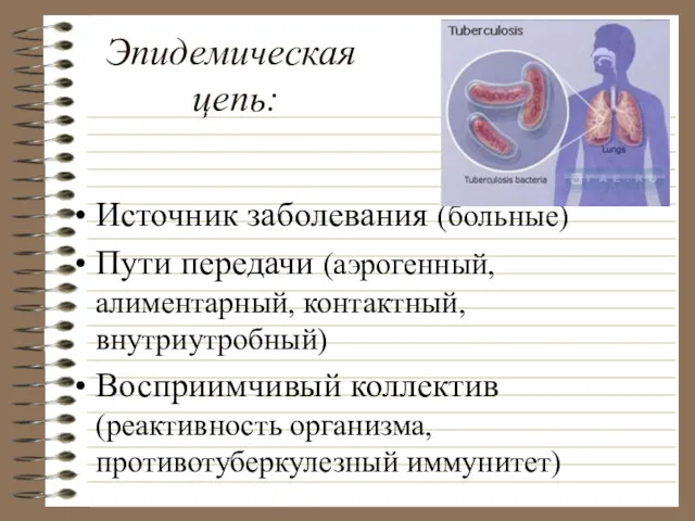 Эпидемическая цепь: Источник заболевания (больные) Пути передачи (аэрогенный, алиментарный, контактный, внутриутробный) Восприимчивый коллектив