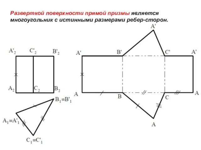 Разверткой поверхности прямой призмы является многоугольник с истинными размерами ребер-сторон.